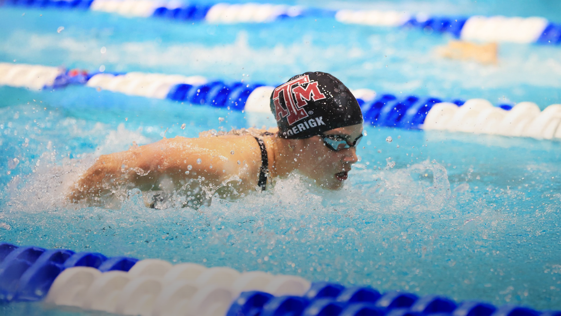 Swimmer in the pool